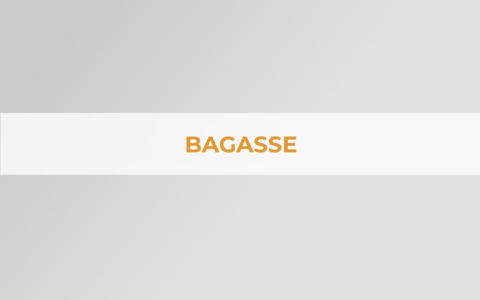 bagasse